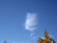 cloudwing - wingcloud